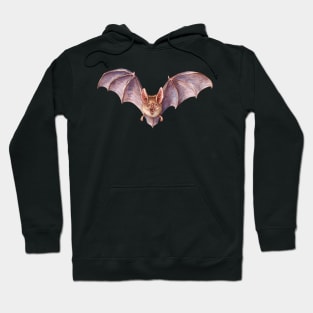 Vampire Bat Hoodie